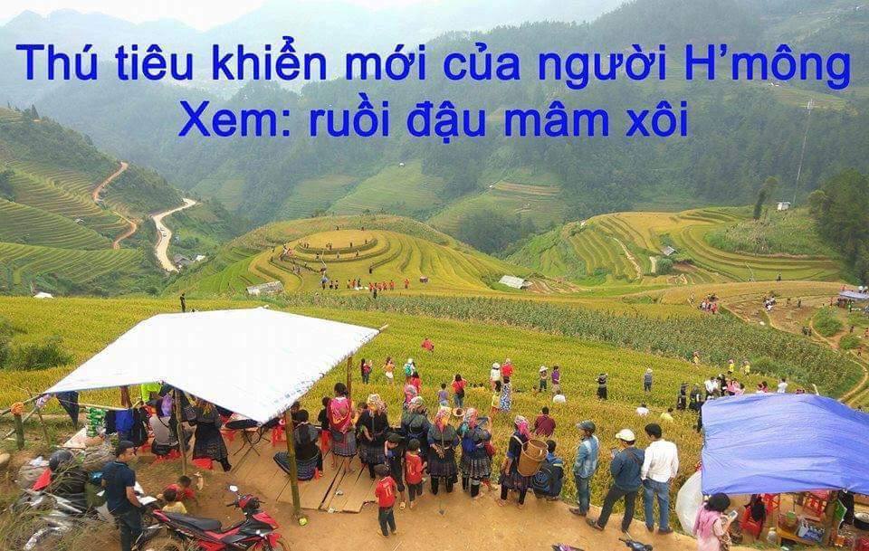 tim-1-ban-nam-o-ghep-ngo-254-minh-khai